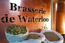 Brasserie Waterloo