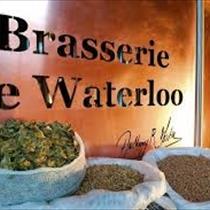 Brasserie Waterloo